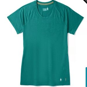 smartwool merino 150 short sleeve tee in dark peacock